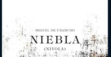 portada de la novela niebla de Unamuno, en la que se ve a un hombre sentado en una silla con un libro en una mano, aunque solo se le ve de cintura hacia abajo, el resto esta cubierto por una niebla.